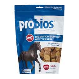 Probios Horse Soft Chews Digestion Support Vets Plus